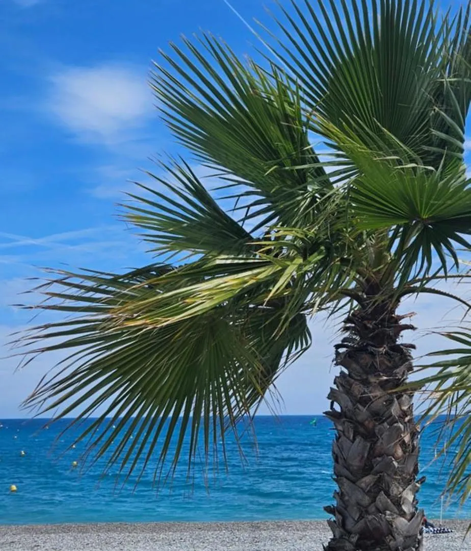 Apartman Studio Saint-Laurent-Du-Var Bord De Mer